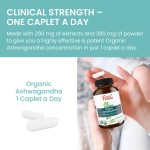 Ashwagandha with Black Pepper High Absorption Stress Support Improve Sleep Quality Ashwagandha Capsules