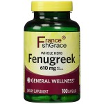Wholesale Price Pure Customized Organic Fenugreek Seed Extract Powder Fenugreek Capsule