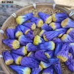 蓝莲花蕾供应商-批发现货花