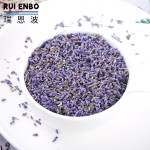 绿茶生产商-代工茉莉薰衣草味