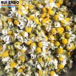洋甘菊茶供应商-批发有机散装草药茶