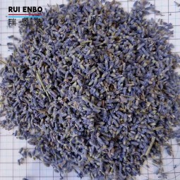 绿茶生产商-代工茉莉薰衣草味