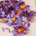 蓝莲花茶工厂-代工100%天然中国