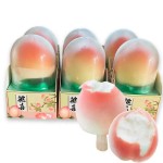 水果冰淇淋生产商-代工定制包装