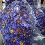 蓝莲花茶工厂-代工100%天然中国