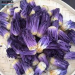 蓝莲花蕾供应商-批发现货花