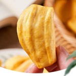菠萝蜜零食工厂-批发90g健康干果