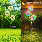 Solar Dandelion Light Factory - Outdoor LED Decoration Lamp