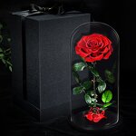 Stabilized Rose Factory - Preserved Rose in Glass Dome Gift