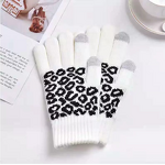 Touchscreen Gloves Factory - Jacquard Acrylic Warm Winter Gloves