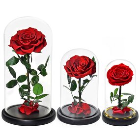 Stabilized Rose Factory - Preserved Rose in Glass Dome Gift