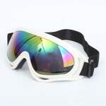 Ski Glasses Factory - UV400 Anti-Fog Sports Snow Glasses