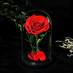 Stabilized Rose Factory - Preserved Rose in Glass Dome Gift