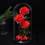 Stabilized Rose Factory - Preserved Rose in Glass Dome Gift