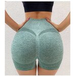 Compression Shorts Factory - Women Quick Dry Fitness Yoga Shorts