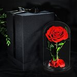Stabilized Rose Factory - Preserved Rose in Glass Dome Gift