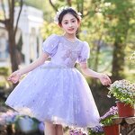 Princess Party Dress Factory - Summer New Girls Gown Dresses