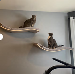 Cat Wall Shelf Factory - New Curved Wave Cat Wall Shelf