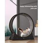 Cat Toys Factory - Hot Selling Circle Track Wood Exercise Wheel