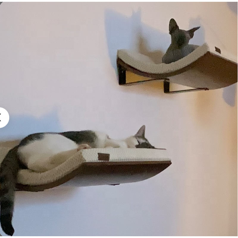 Cat Wall Shelf Factory - New Curved Wave Cat Wall Shelf