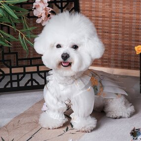 Pet Skirt Factory - Chinese Embroidered Summer Breathable Skirt