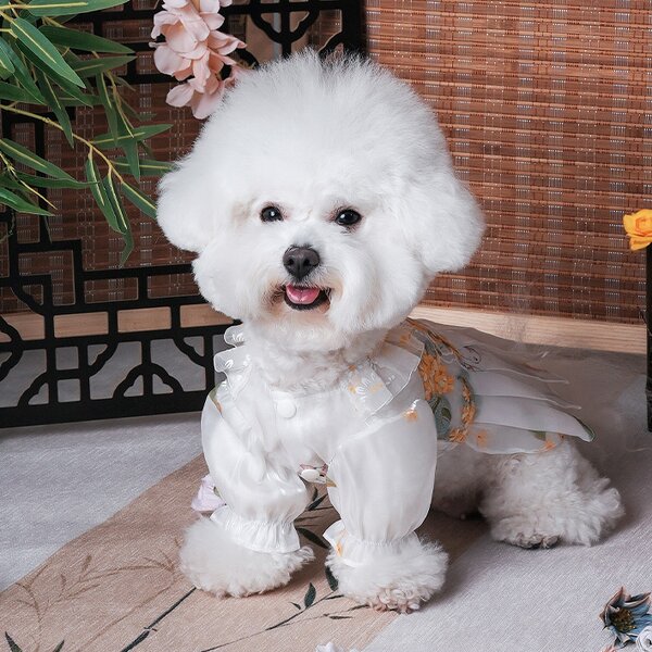 Pet Skirt Factory - Chinese Embroidered Summer Breathable Skirt