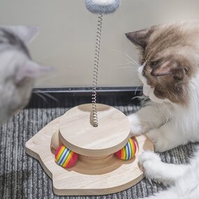 Cat Toys Factory - OEM ODM Wooden Chasing Ball Tracks Toy