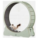 Cat Treadmill Factory - OEM Custom Silent Wooden Running Wheel