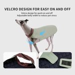 Dog Clothes Factory - High Quality Custom Waterproof Trainer Vest