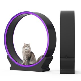 Cat Treadmill Factory - Latest Design with Light Technology