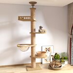 Cat Tree Factory - OEM ODM Cat Climbing Frame with Capsule