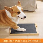 Dog Nail Scratch Board Factory - 2023 Foldable Bamboo Wooden Toy