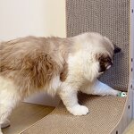 Cat Scratcher Board Factory - L-shaped Detachable Claw Grinding Toy