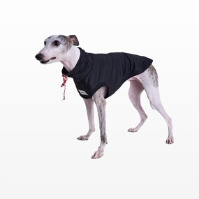Dog Clothing Factory - Custom Fashion Ribbon Knitted Vest