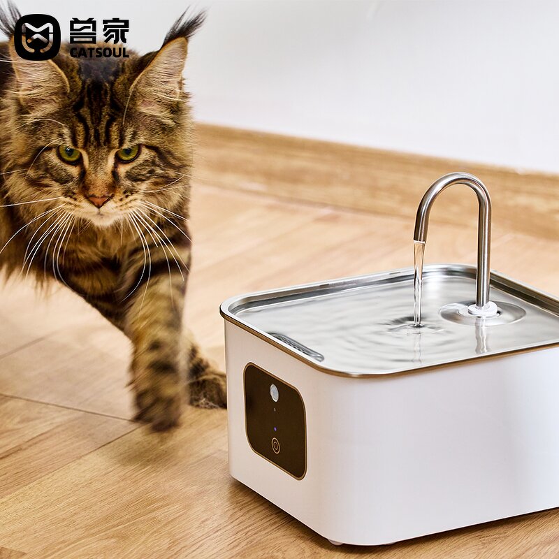 Pet Water Dispenser Factory - Antimicrobial Mute Smart 4L Fountain