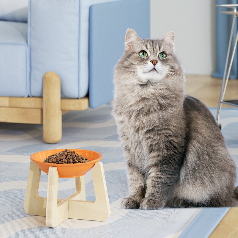 Cat Feeder Factory - Fast Delivery Customizable Elevated Ceramic Bowl