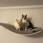 Cat Wall Shelf Factory - New Curved Wave Cat Wall Shelf
