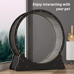 Cat Toys Factory - Circle Track Solid Wood Exercise Running Wheel