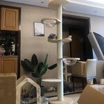 Cat Scratching Post Factory - 2025 Custom Designed Super Long Post