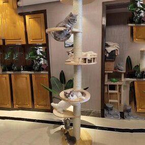 Cat Climbing Tree Factory - Custom Solid Wood Long Lasting Cork