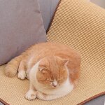 Cat Scratching Board Factory - Wholesale Foldable Sofa Protector
