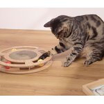 Cat Scratch Tree Factory - Wholesale Scratching Post with Tracks