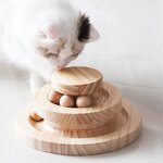 Cat Toy Tower Factory - ECO-Friendly Bamboo Interactive Track
