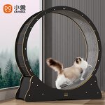Cat Wheel Factory - Solid Wood Silent Pet Treadmill Toy