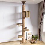 Cat Tree Factory - OEM ODM Cat Climbing Frame with Capsule