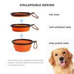 Pet Bowl Factory - Outdoor Collapsable Silicone Travel Feeding Bowl