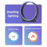 Cat Treadmill Factory - Source Factory ABS Material Cat Wheel