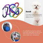 Pet Bowl Factory - Outdoor Collapsable Silicone Travel Feeding Bowl