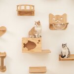 Cat Shelf Factory - 2025 New Solid Wood Wall Mounted Ladder