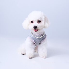 Pet Clothing Factory - Custom Stretchy Bow Print with Pearls